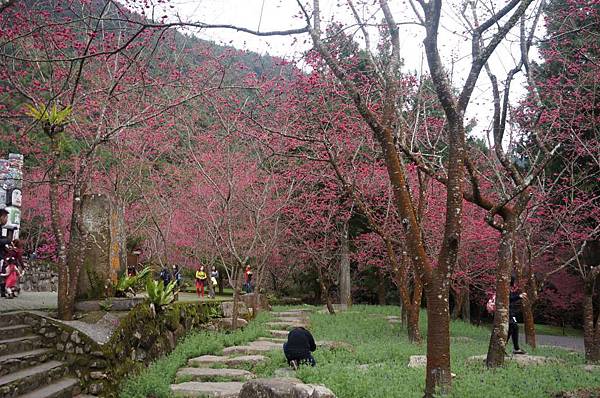 DSC01641_decrypted-1024.jpg DSC01641_decrypted-1024.jpg