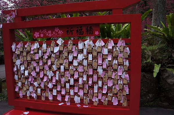 DSC01642_decrypted-1024.jpg DSC01642_decrypted-1024.jpg