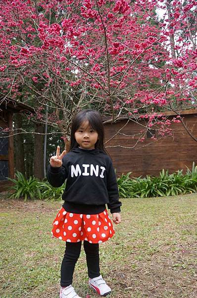 DSC01657_decrypted-1024.jpg DSC01657_decrypted-1024.jpg