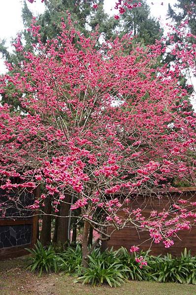 DSC01659_decrypted-1024.jpg DSC01659_decrypted-1024.jpg