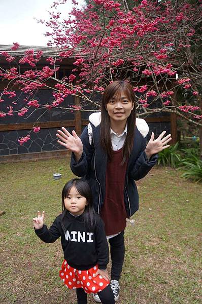 DSC01667_decrypted-1024.jpg DSC01667_decrypted-1024.jpg