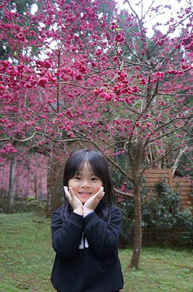 DSC01699_decrypted-1024.jpg DSC01699_decrypted-1024.jpg