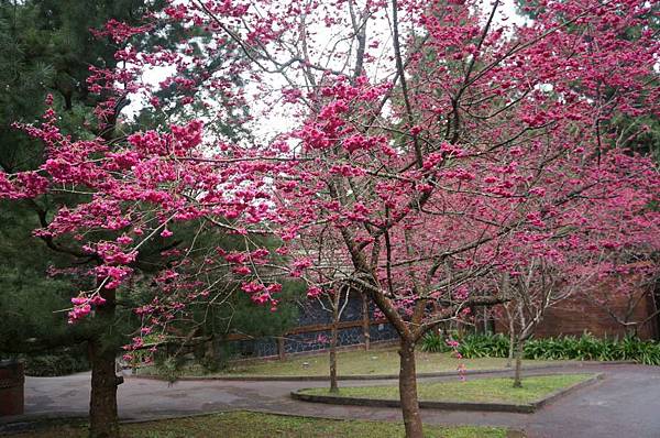 DSC01742_decrypted-1024.jpg DSC01742_decrypted-1024.jpg