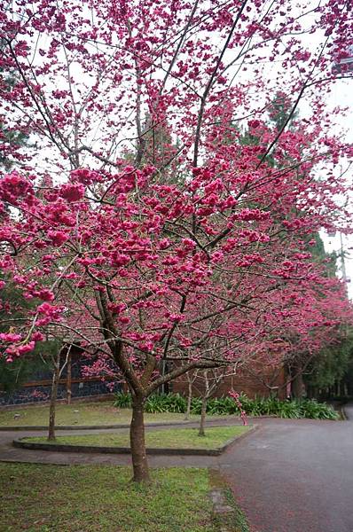 DSC01746_decrypted-1024.jpg DSC01746_decrypted-1024.jpg