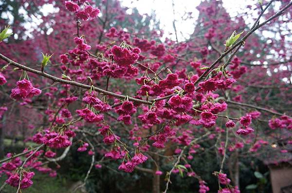 DSC01748_decrypted-1024.jpg DSC01748_decrypted-1024.jpg