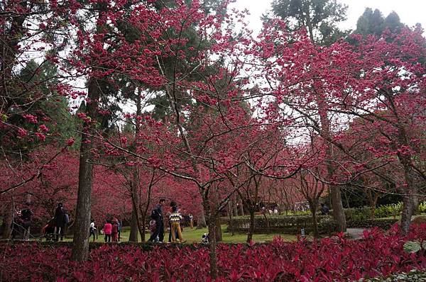 DSC01758_decrypted-1024.jpg DSC01758_decrypted-1024.jpg