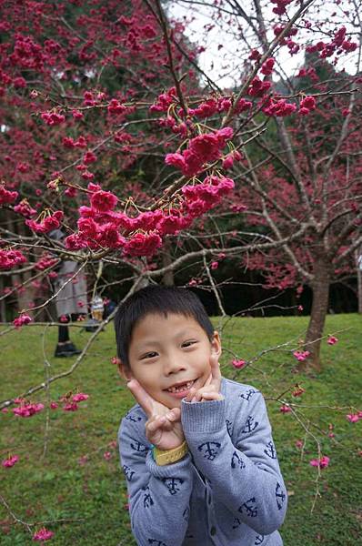 DSC01770_decrypted-1024.jpg DSC01770_decrypted-1024.jpg