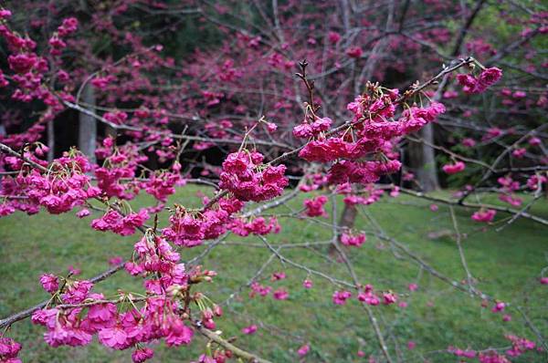 DSC01771_decrypted-1024.jpg DSC01771_decrypted-1024.jpg