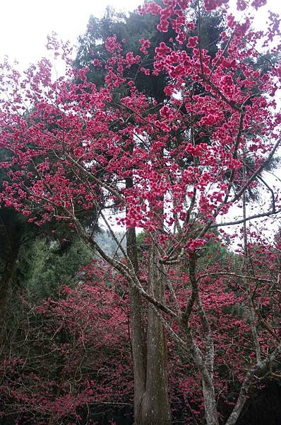 DSC01773_decrypted-1024.jpg DSC01773_decrypted-1024.jpg