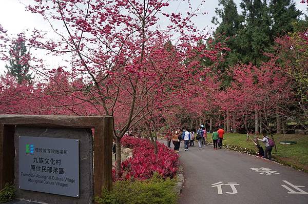 DSC01781_decrypted-1024.jpg DSC01781_decrypted-1024.jpg