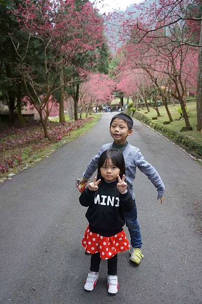 DSC01778_decrypted-1024.jpg DSC01778_decrypted-1024.jpg