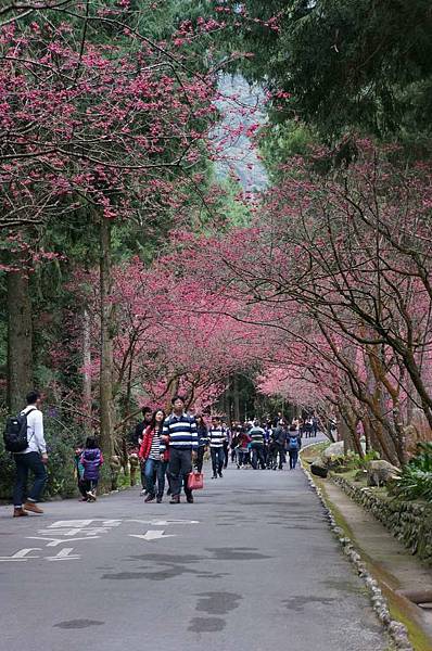 DSC01803_decrypted-1024.jpg DSC01803_decrypted-1024.jpg