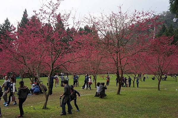 DSC01812_decrypted-1024.jpg DSC01812_decrypted-1024.jpg