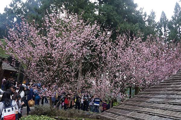 DSC01807_decrypted-1024.jpg DSC01807_decrypted-1024.jpg