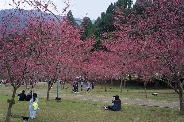 DSC01817_decrypted-1024.jpg DSC01817_decrypted-1024.jpg