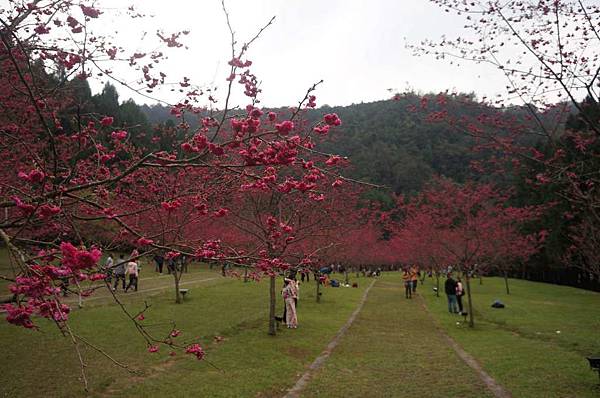 DSC01815_decrypted-1024.jpg DSC01815_decrypted-1024.jpg