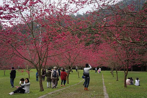 DSC01813_decrypted-1024.jpg DSC01813_decrypted-1024.jpg