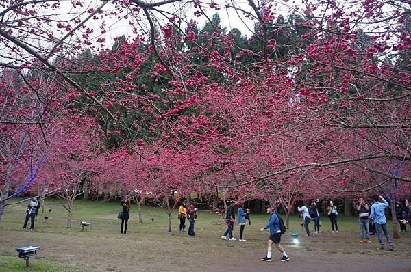 DSC01819_decrypted-1024.jpg DSC01819_decrypted-1024.jpg