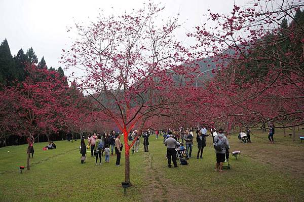 DSC01820_decrypted-1024.jpg DSC01820_decrypted-1024.jpg