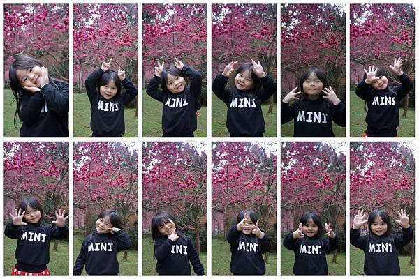 P13-1024.jpg P13-1024.jpg