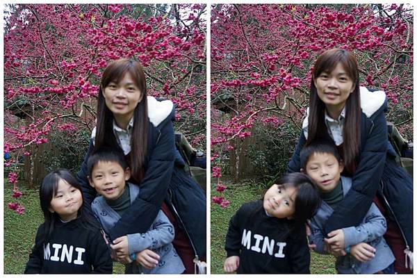 P12-1024.jpg P12-1024.jpg