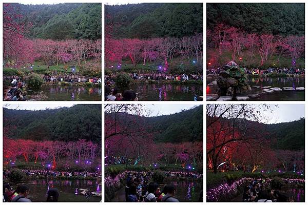 P15-1024.jpg P15-1024.jpg