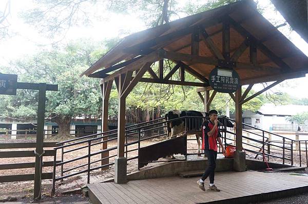 DSC06409-1024.jpg DSC06409-1024.jpg