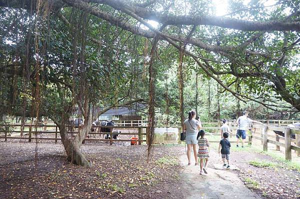 DSC06418-1024.jpg DSC06418-1024.jpg