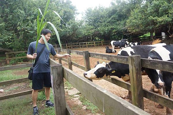 DSC06423-1024.jpg DSC06423-1024.jpg