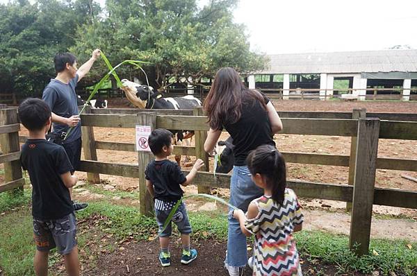 DSC06434-1024.jpg DSC06434-1024.jpg