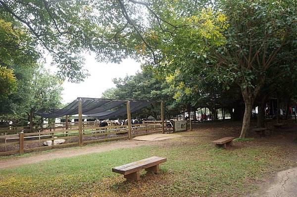 DSC06445-1024.jpg DSC06445-1024.jpg