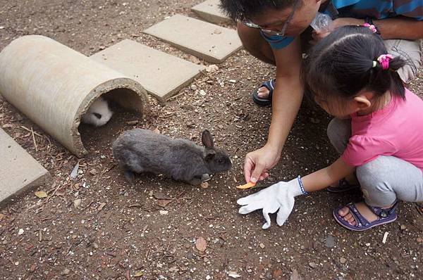 DSC06451-1024.jpg DSC06451-1024.jpg