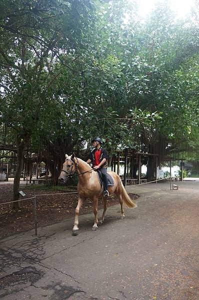 DSC06457-1024.jpg DSC06457-1024.jpg