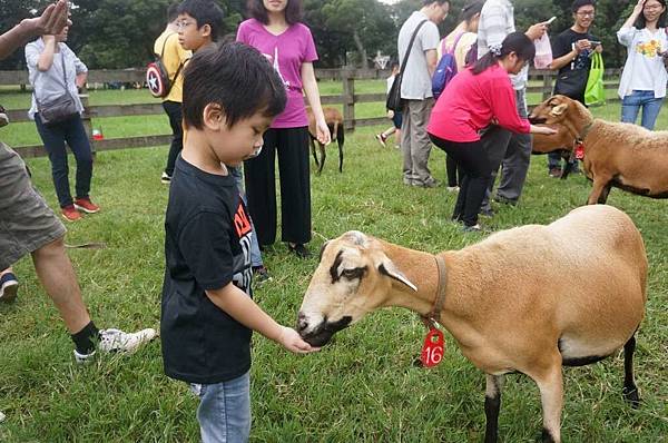 DSC06463-1024.jpg DSC06463-1024.jpg