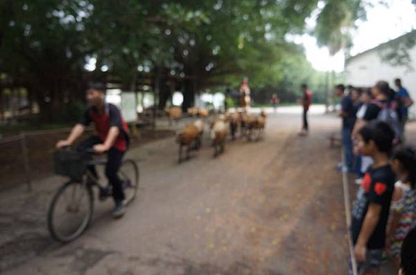 DSC06459-1024.jpg DSC06459-1024.jpg