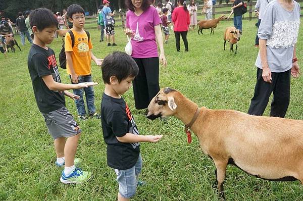 DSC06469-1024.jpg DSC06469-1024.jpg