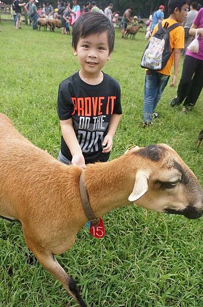 DSC06473-1024.jpg DSC06473-1024.jpg