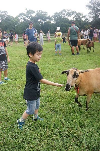 DSC06475-1024.jpg DSC06475-1024.jpg