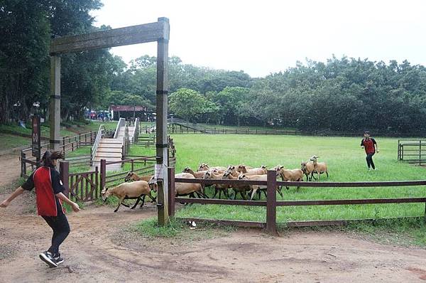 DSC06478-1024.jpg DSC06478-1024.jpg