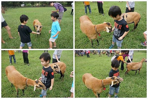 P02-1024.jpg P02-1024.jpg