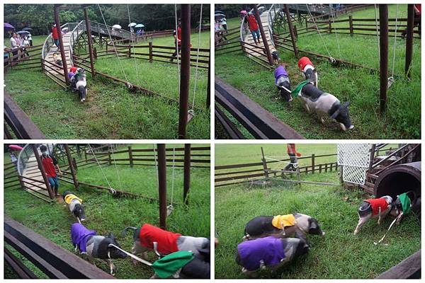 P03-1024.jpg P03-1024.jpg