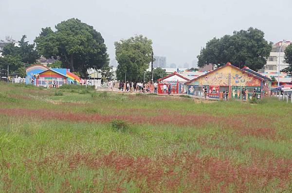 DSC07308-1024.jpg DSC07308-1024.jpg