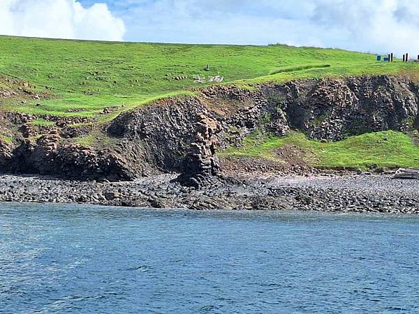 1130617-3跳島巡遊及賞鳥 1130617-3跳島巡遊及賞鳥
