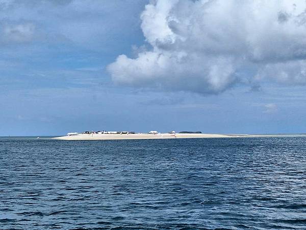 1130617-3跳島巡遊及賞鳥 1130617-3跳島巡遊及賞鳥