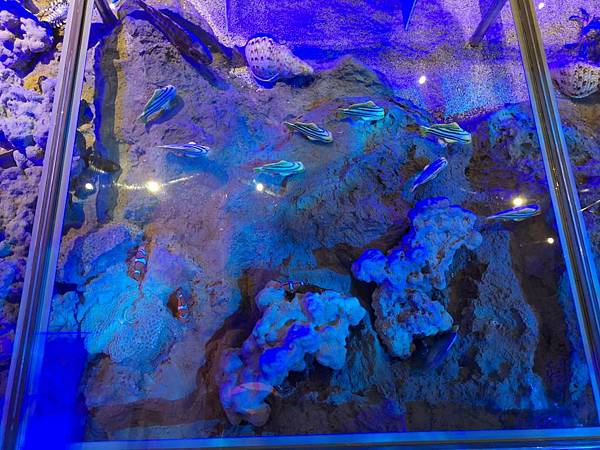 1130619-5澎湖生活博物館