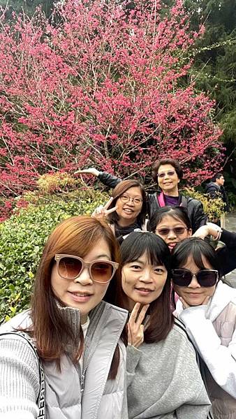 1140126-2九族文化村