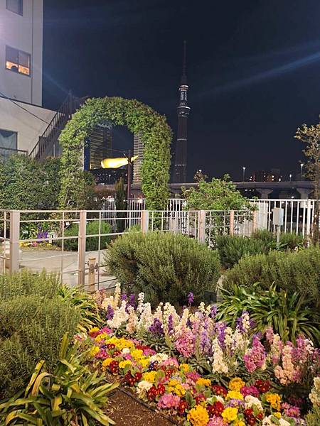 1140322-2駒形橋&吾妻橋