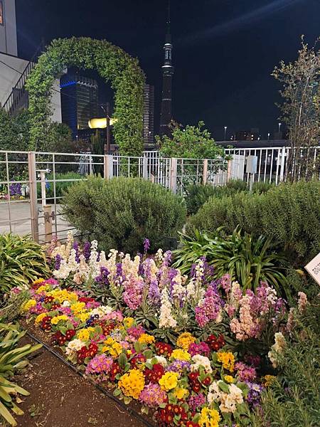 1140322-2駒形橋&吾妻橋