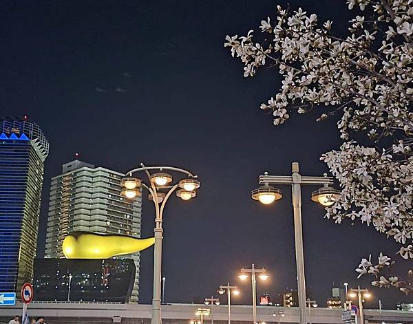 1140322-2駒形橋&吾妻橋