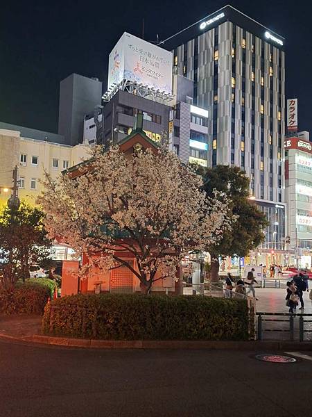 1140322-2駒形橋&吾妻橋